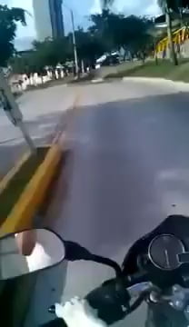 [+18 ~ Sexy Funny Girl]perro montando una motocicleta