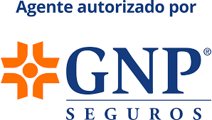 GNP Seguro Moto