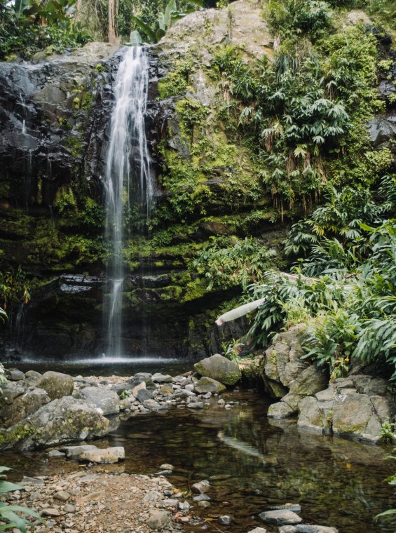 ciales de puerto rico